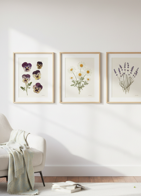 Pressed Flower Frame Set