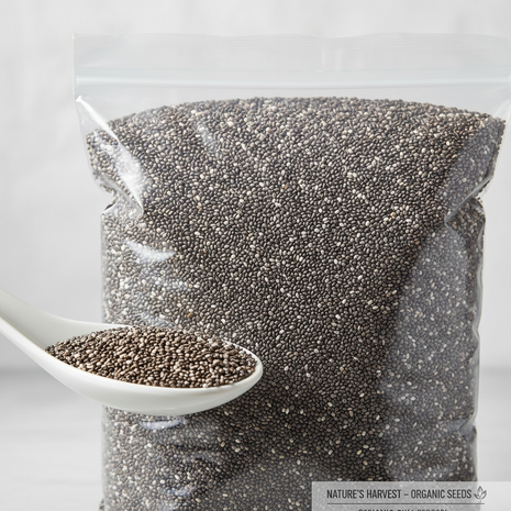 Bulk Quinoa Blanca (White Quinoa) – 10 lb Bag
