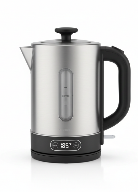 Electric Kettle with Temperature Control