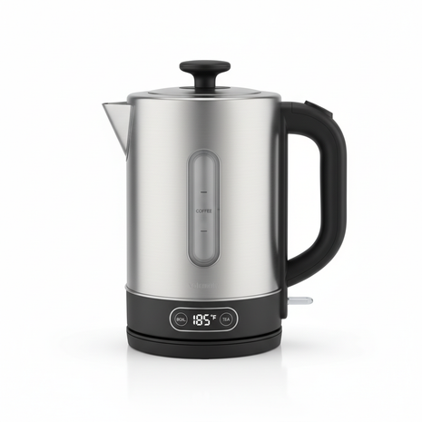 Electric Kettle with Temperature Control