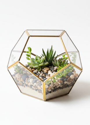 Geometric Glass Succulent Terrarium