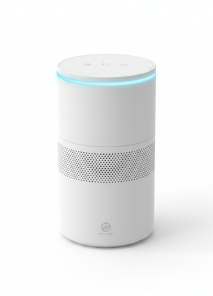 Portable Air Purifier with True HEPA Filter