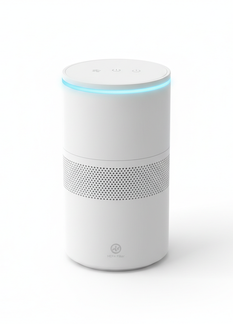 Portable Air Purifier with True HEPA Filter