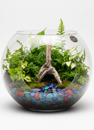 Open Bowl Tropical Fern Terrarium
