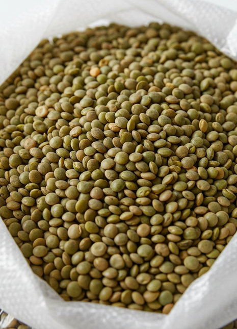 Bulk Frijoles Pintos (Pinto Beans) – 25 lb Bag
