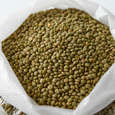 Bulk Frijoles Pintos (Pinto Beans) – 25 lb Bag
