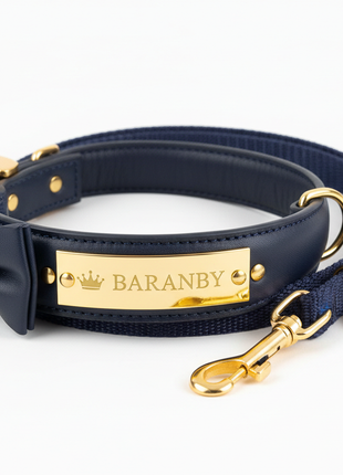 Personalized Dog Collar & Leash Set