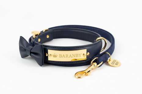 Personalized Dog Collar & Leash Set