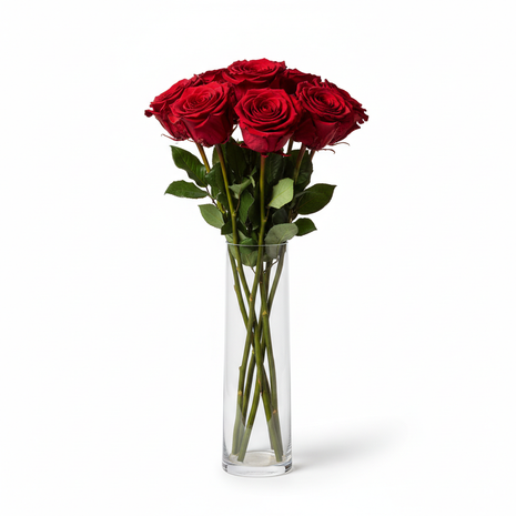 Preserved Long-Stem Ecuadorian Roses – Luxury Bouquet