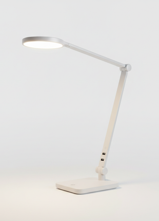 LED Desk Lamp with USB Charging Port