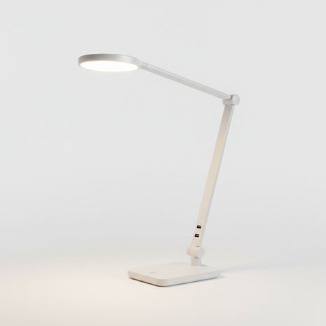 LED Desk Lamp with USB Charging Port
