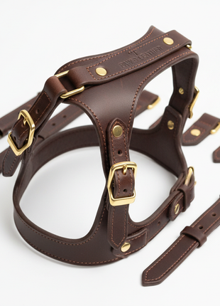 Heritage Leather Dog Harness