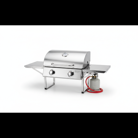 Portable Tabletop Propane Grill - Stainless Steel