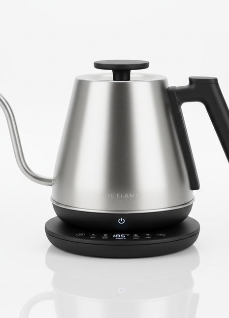 Stainless Steel Electric Kettle with Temperature Control